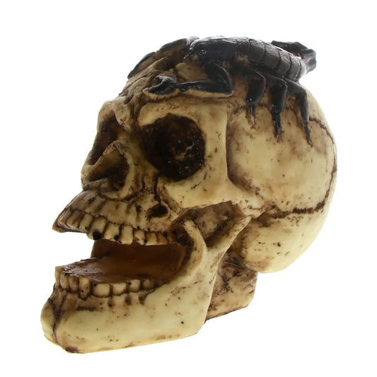 Skull with Scorpion Decor